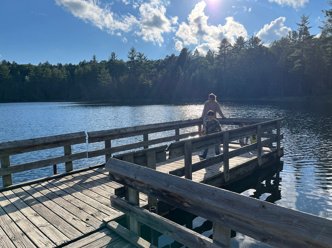Hartwick Pines State Park景点图片