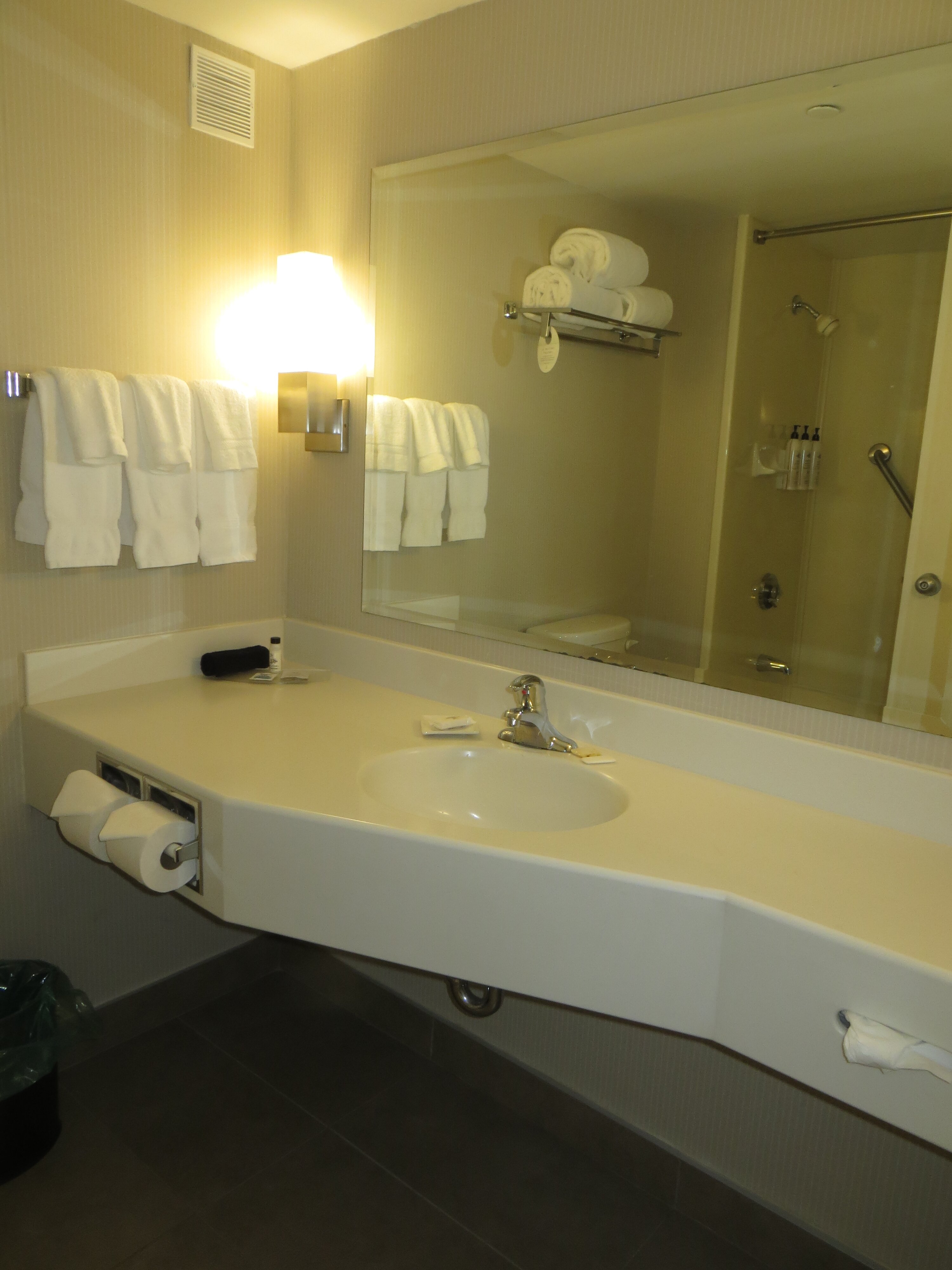 布伦瑞克三角洲酒店-浴室