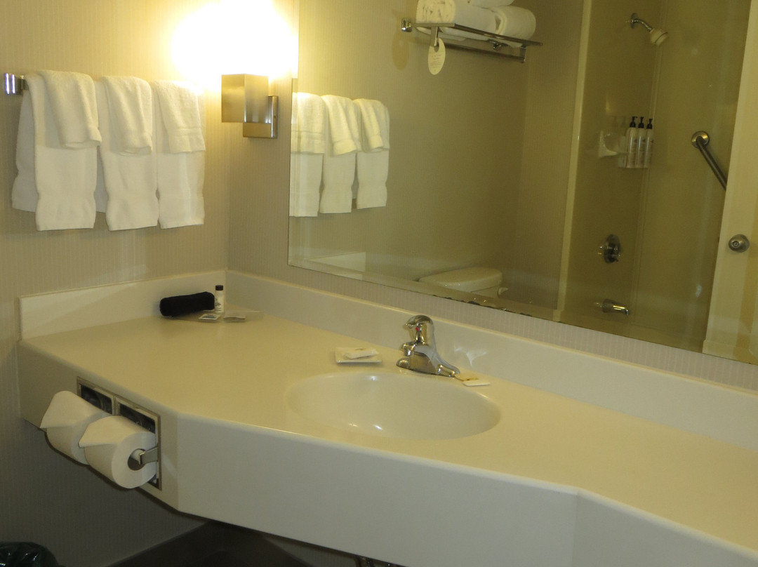 布伦瑞克三角洲酒店主图