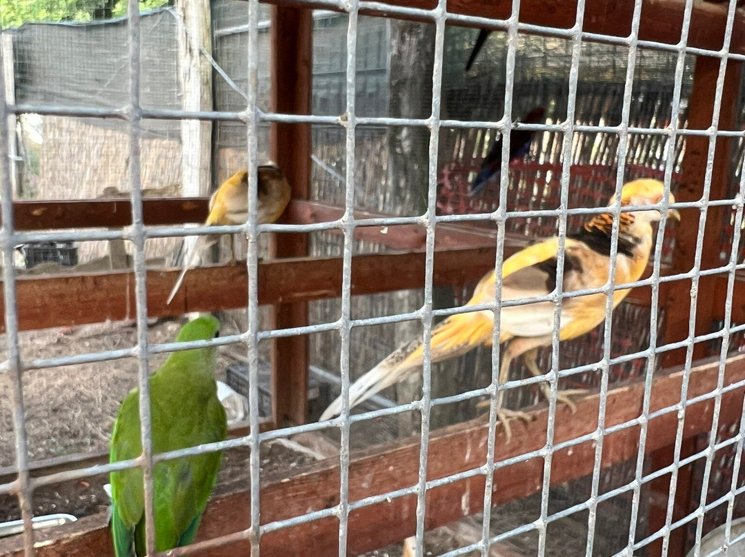 Il Piccolo Ranch-San Cataldo必去景点