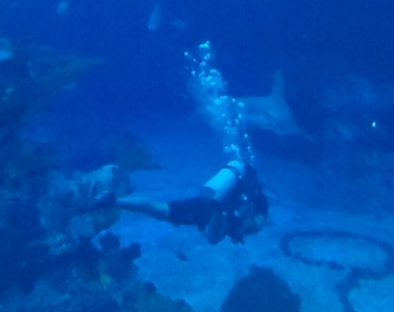 Epcot Divequest-奥兰多必去景点