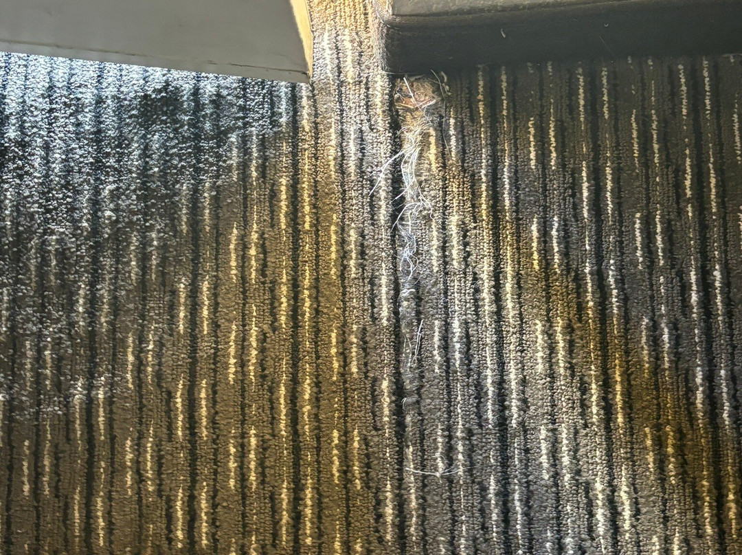 La Quinta Inn By Wyndham Santa Fe主图