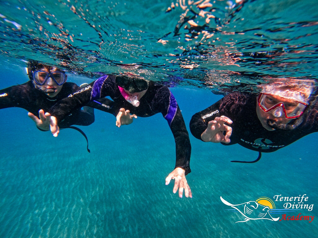 Tenerife Diving Academy景点图片