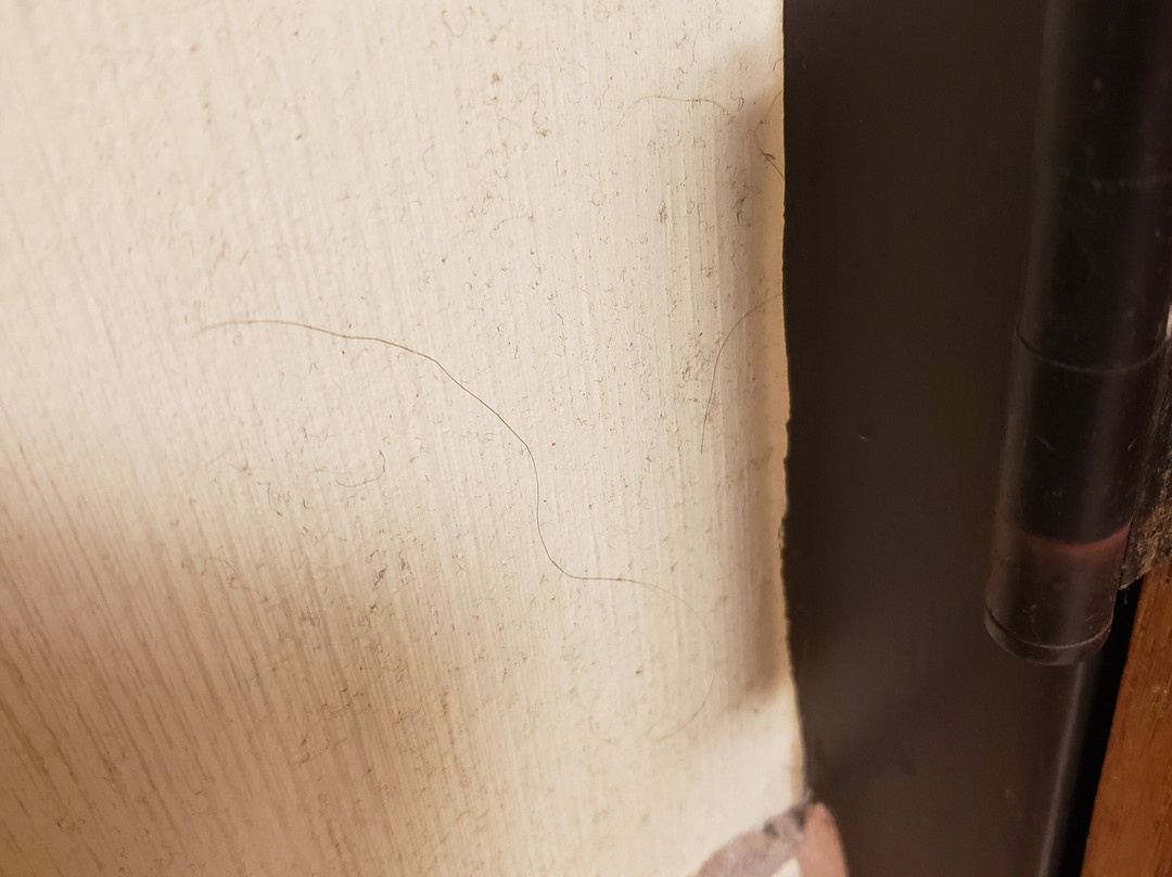 Iron Blosam Lodge主图