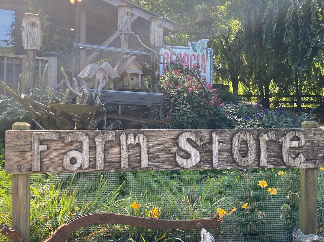 Mountain Valley Farm-Ellijay必去景点