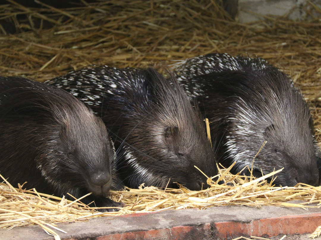 Birgits Tiergarten-Hage必去景点