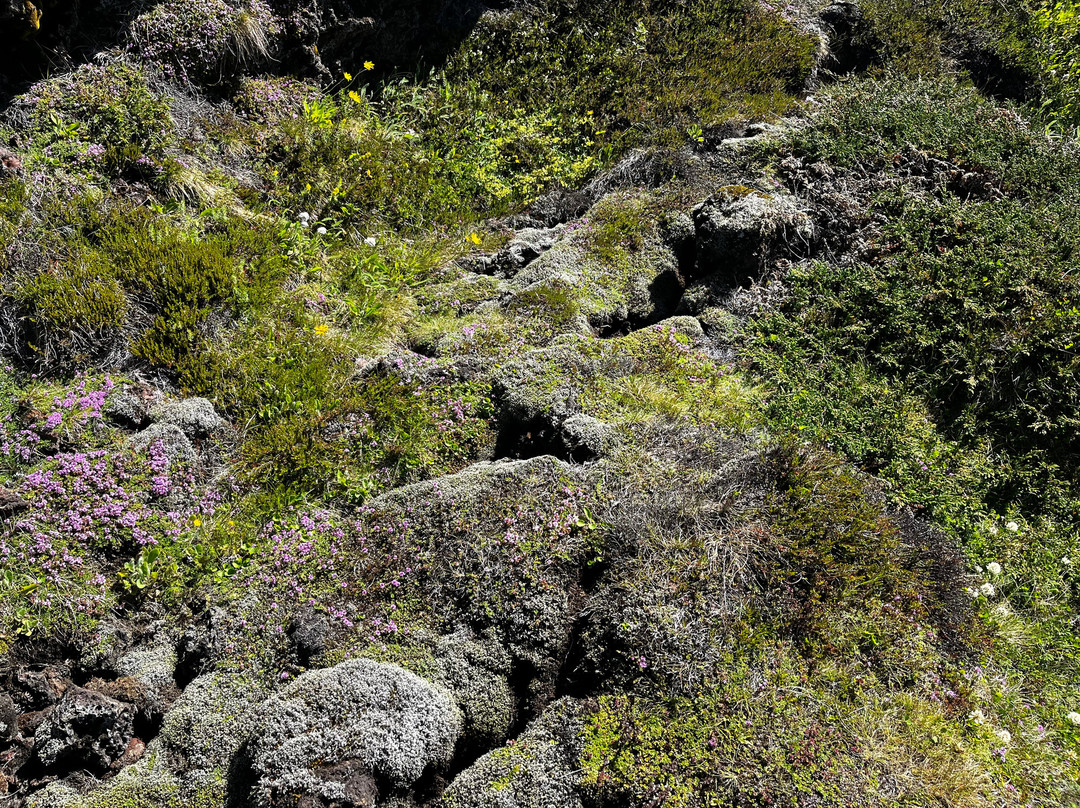 Hike and Bike-米湖必去景点