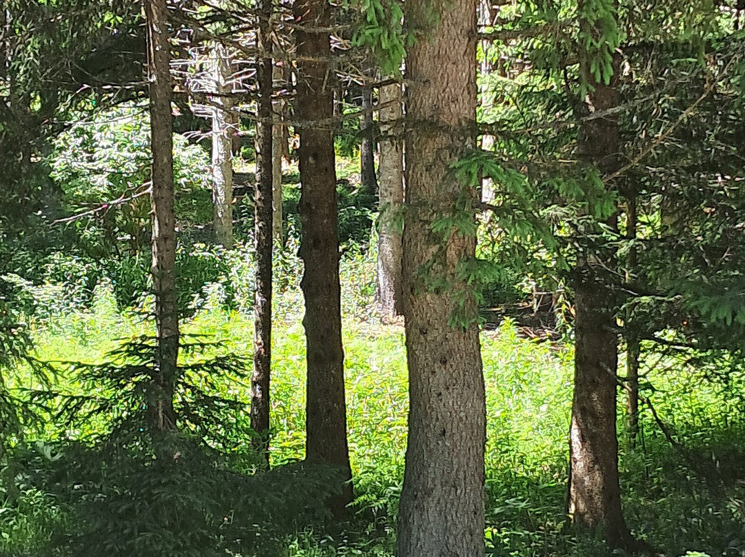 Chauff'marcel-La Feclaz必去景点