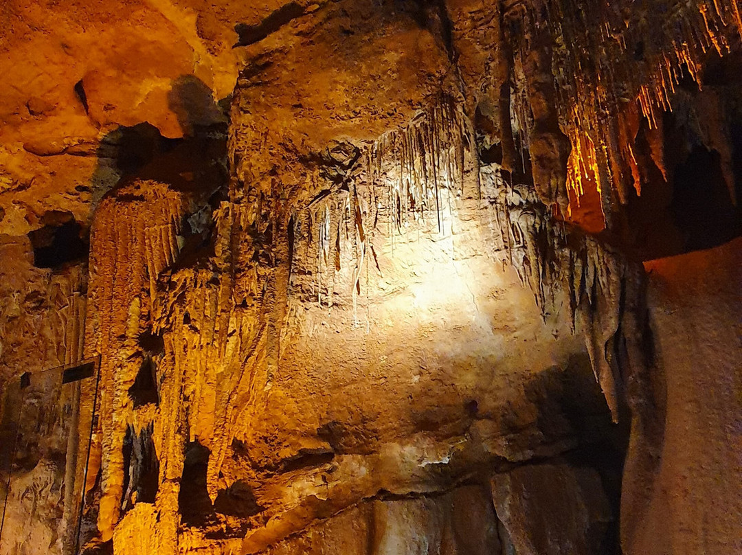 Grotte de Baume Obscure景点图片