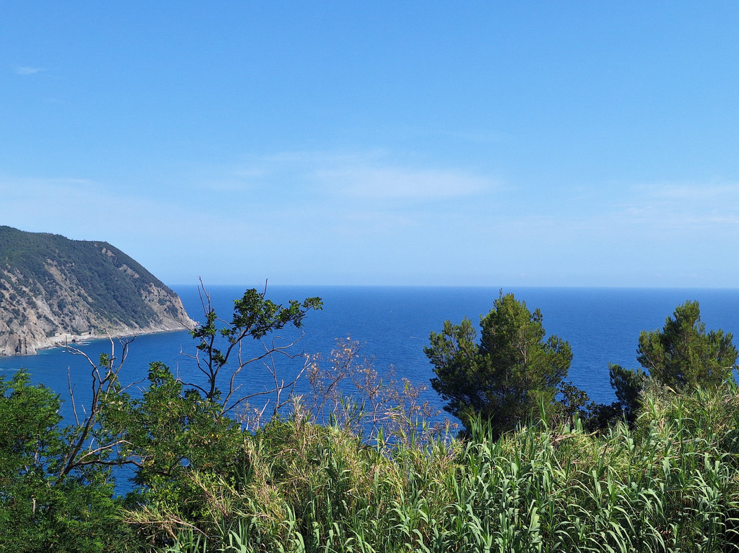 B&B Villa Ginestra主图