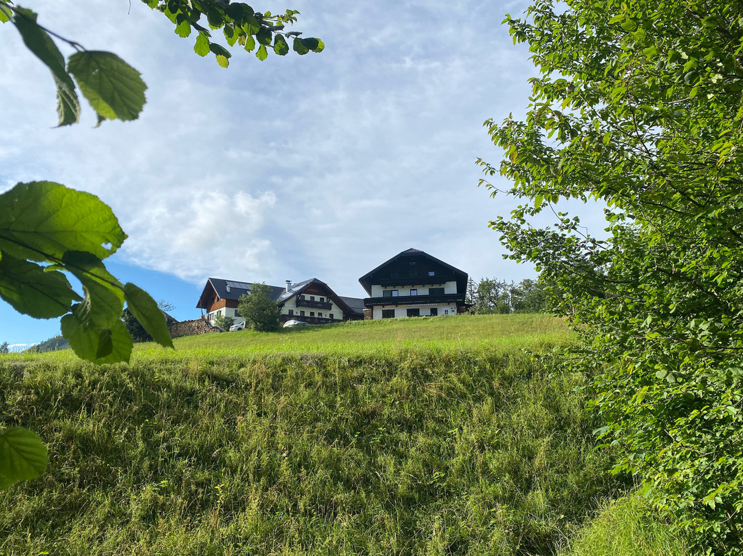 Biobauernhof Seemanngut