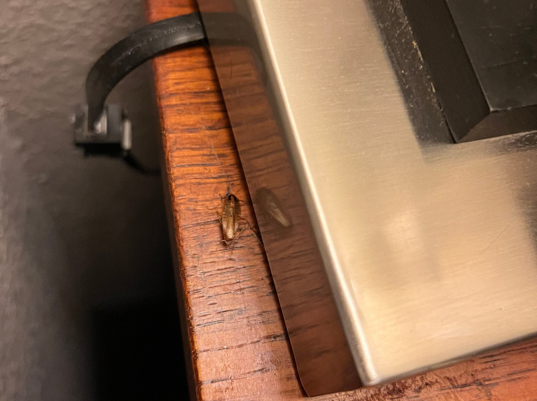 Pleasant Night Inn - Fort Drum主图