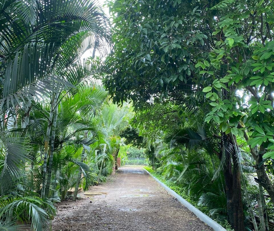 Beyond By Sula主图