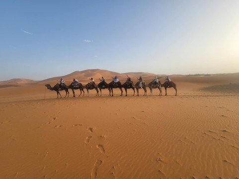 Tours Into Morocco - Day Tours-非斯必去景点