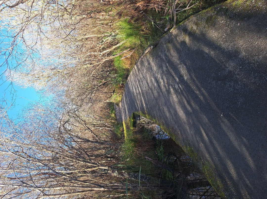 Lake Hakanoa Walkway-Huntly必去景点
