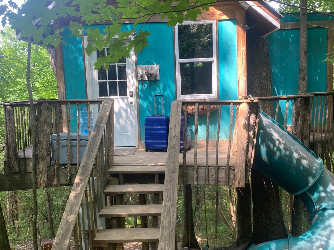 EarthJoy TreeHouse Adventures-Brooksville必去景点