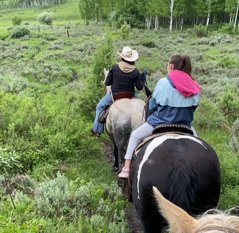 Willow Creek Horseback Rides-杰克逊必去景点