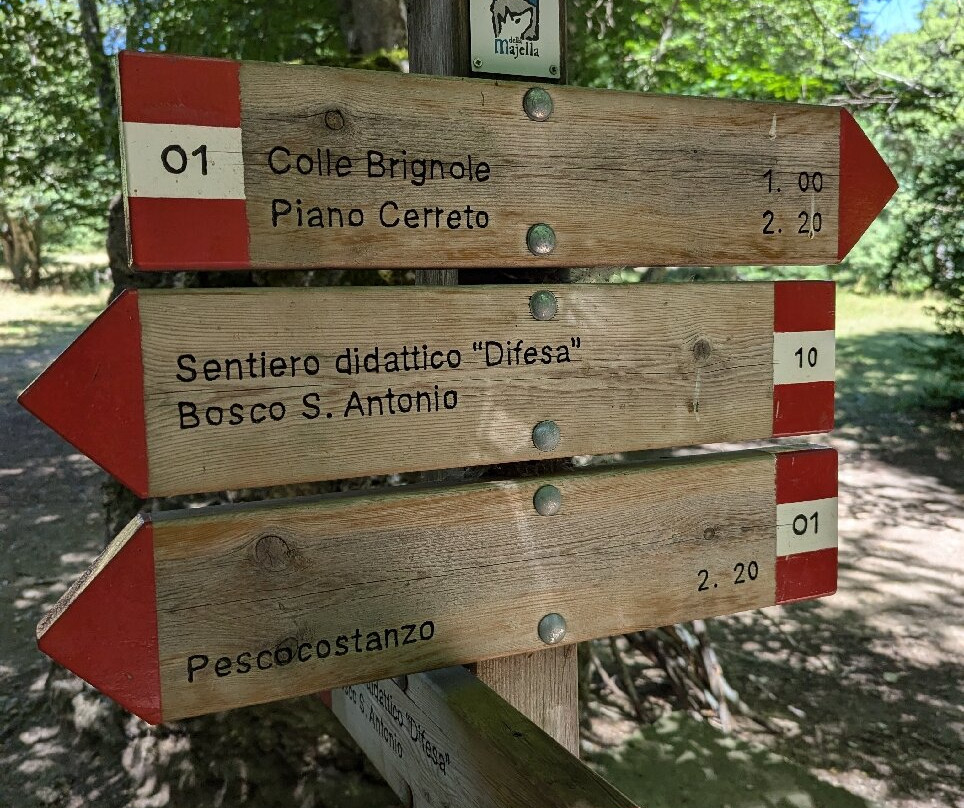 Bosco Sant'Antonio景点图片