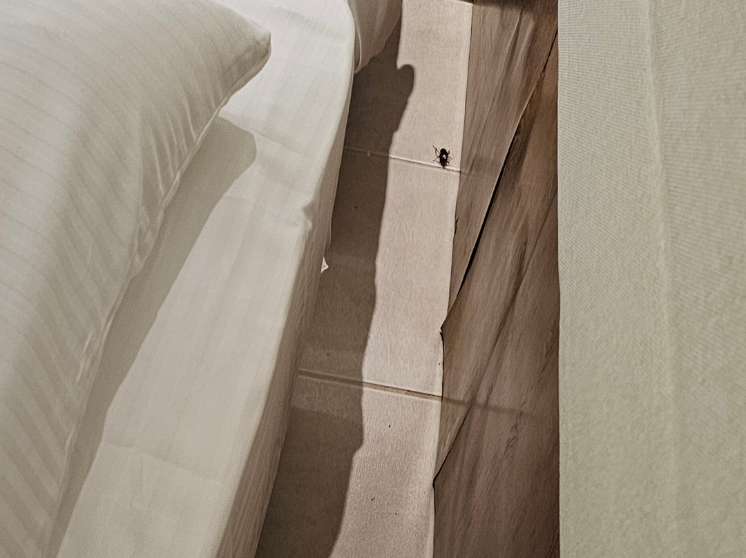 Natura Park Village Hotel & Spa主图