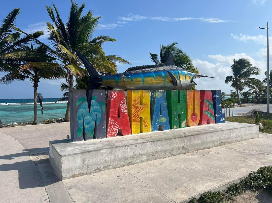 Riviera Moto Adventures-普拉亚德尔卡曼必去景点