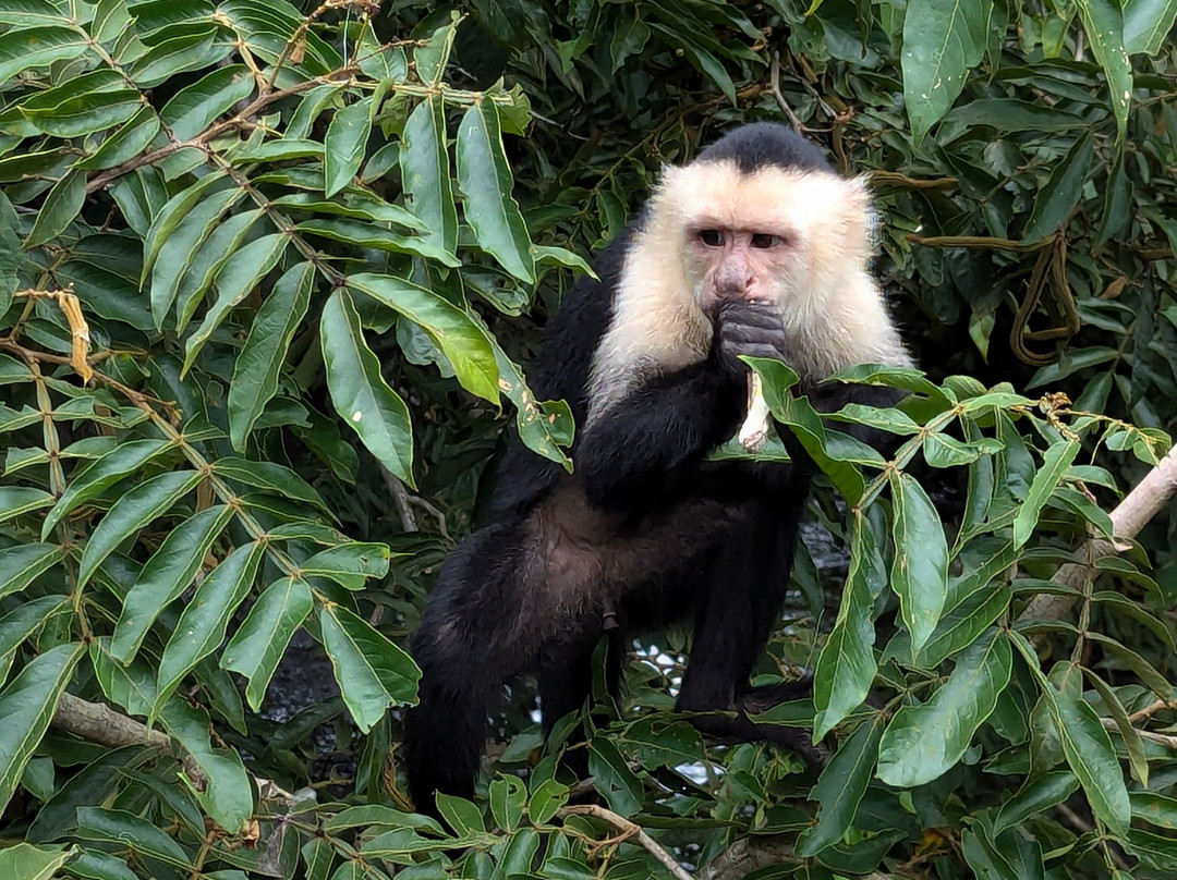 Costa Rica Experience景点图片