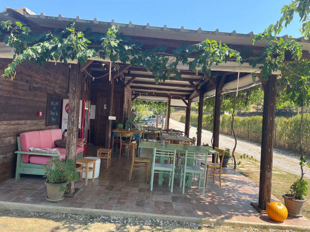 Terre del Piano