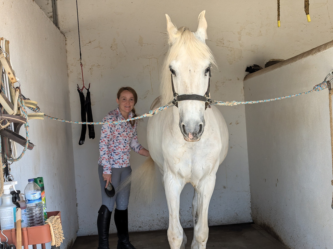 Lusitanos Riding Centre景点图片