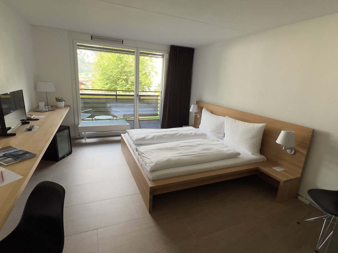 Hotel des Alpes主图
