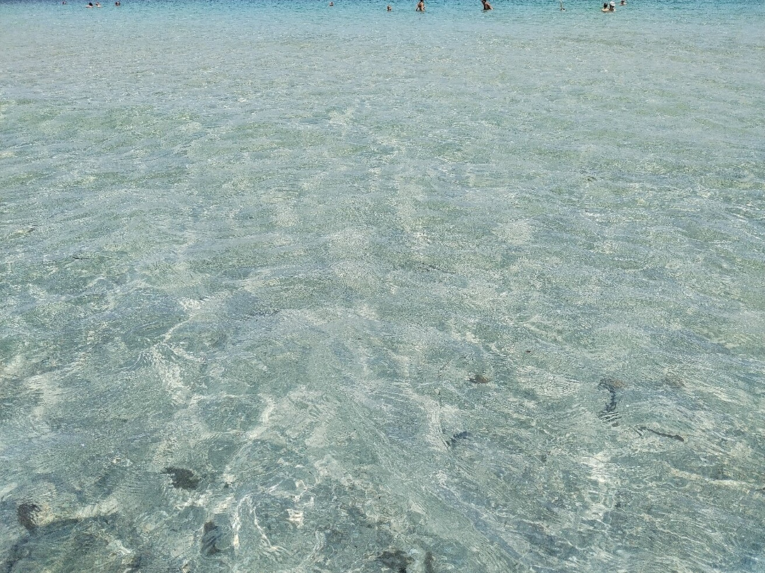 Spiaggia Spinazza-Marzamemi必去景点