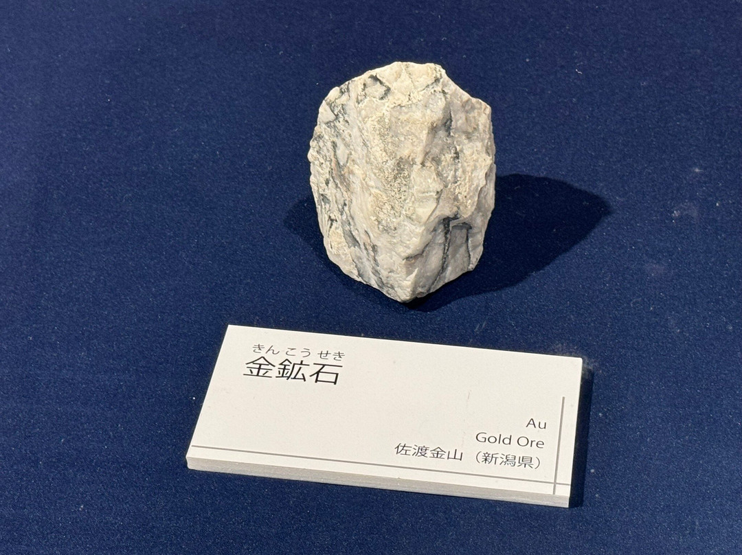 Imodaikan Museum-大田市必去景点