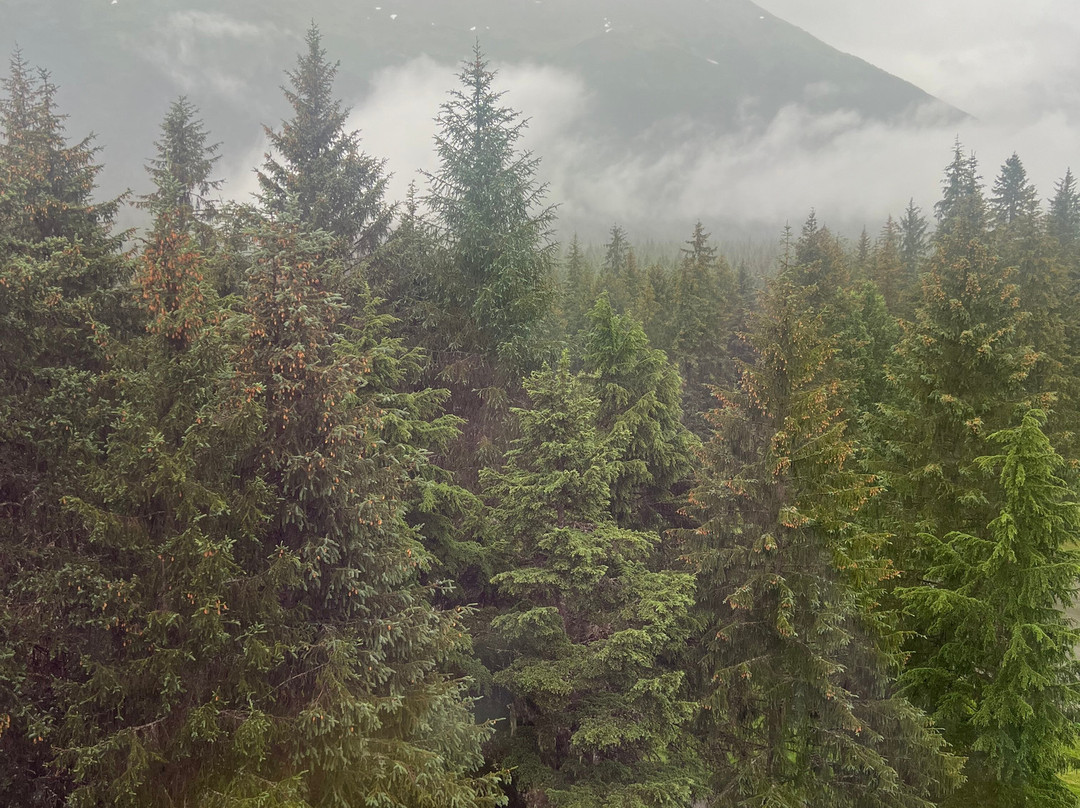 阿拉斯加酒店主图