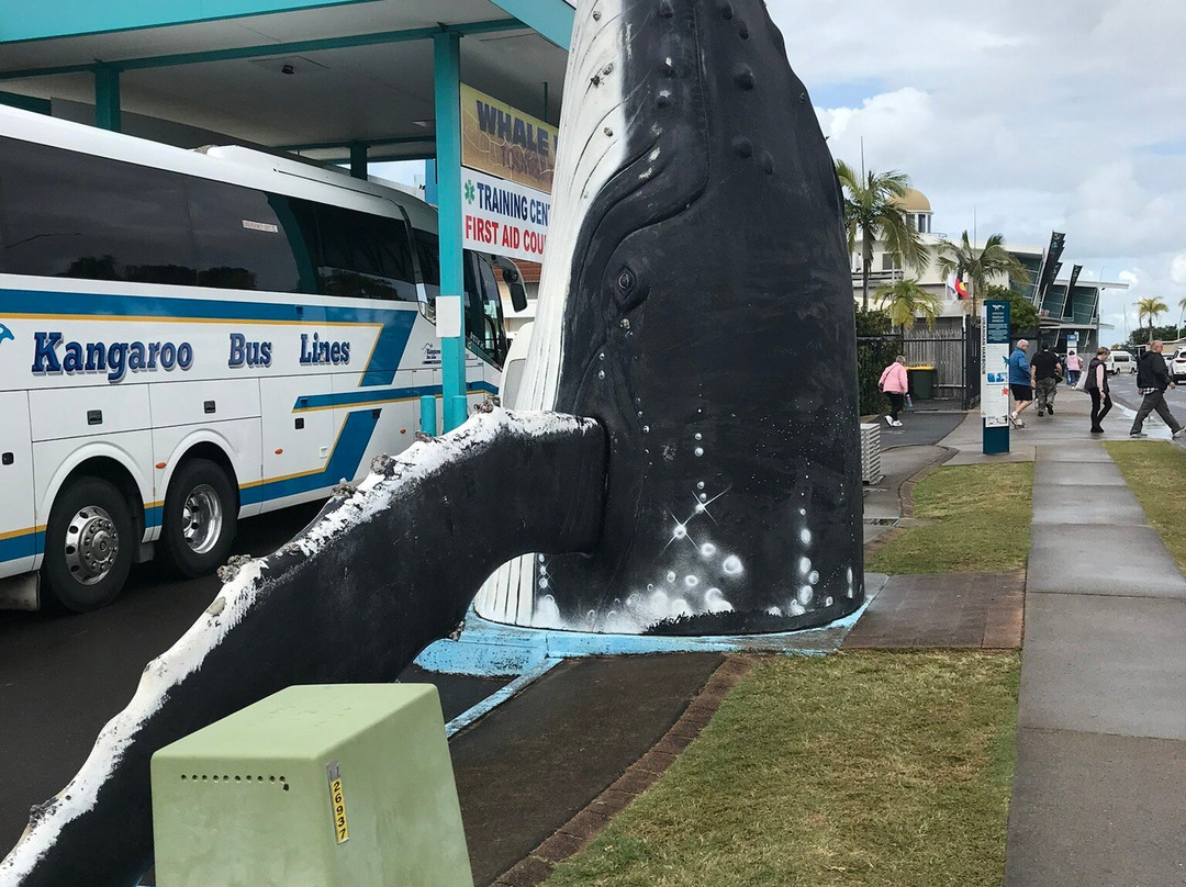 白鸡冠豪华公寓主图