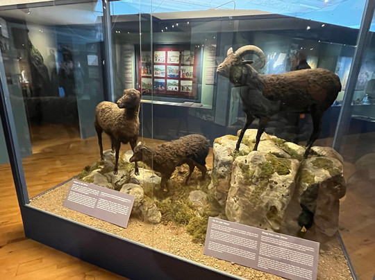 Tjodsavnid - Faroe Islands National Museum-Hoyvík必去景点