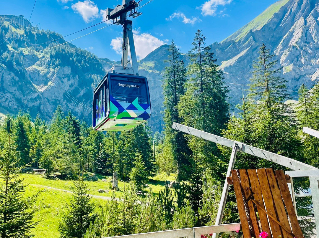 Bergbahnen Engstligenalp AG-阿德尔博登必去景点