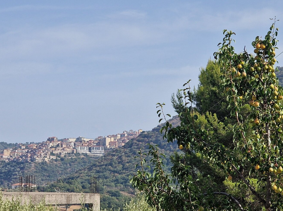 Agriturismo Casale degli Ulivi主图