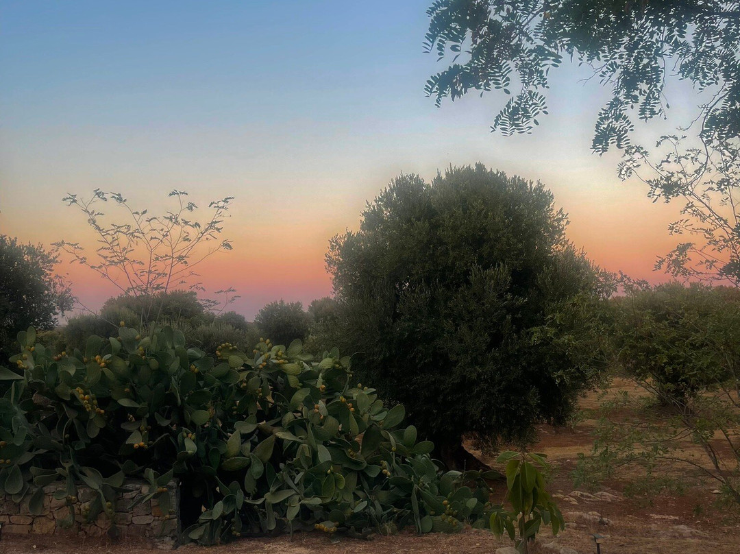 Masseria Rienzo主图