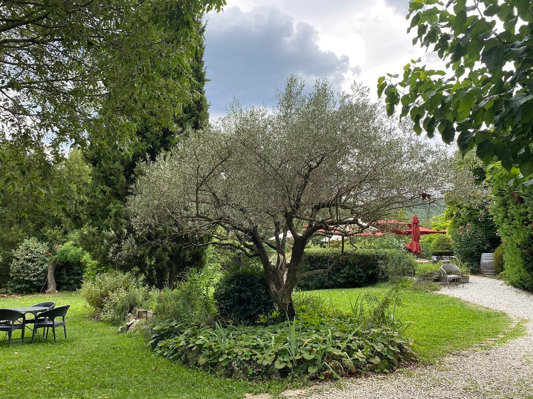 L'Auberge du Cedre主图