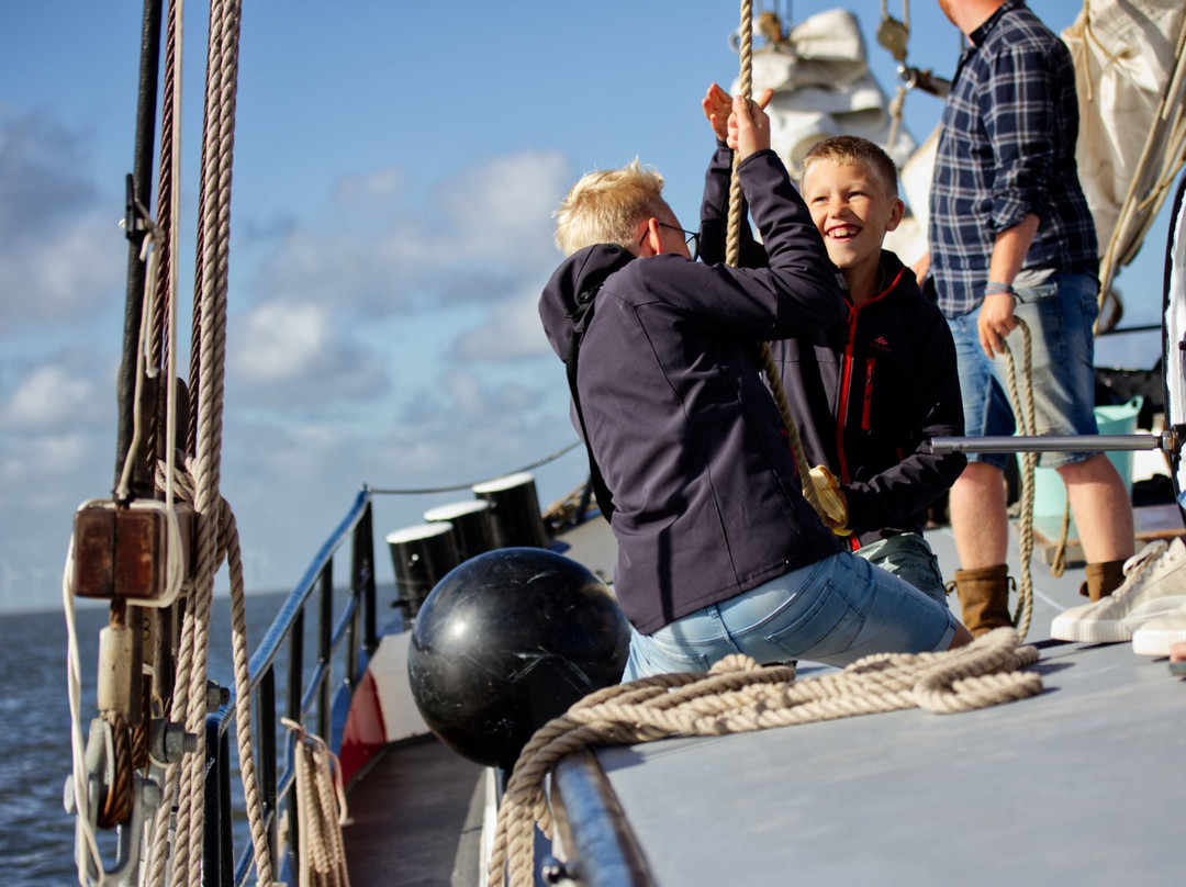 Historische Zeilvaart Harlingen景点图片