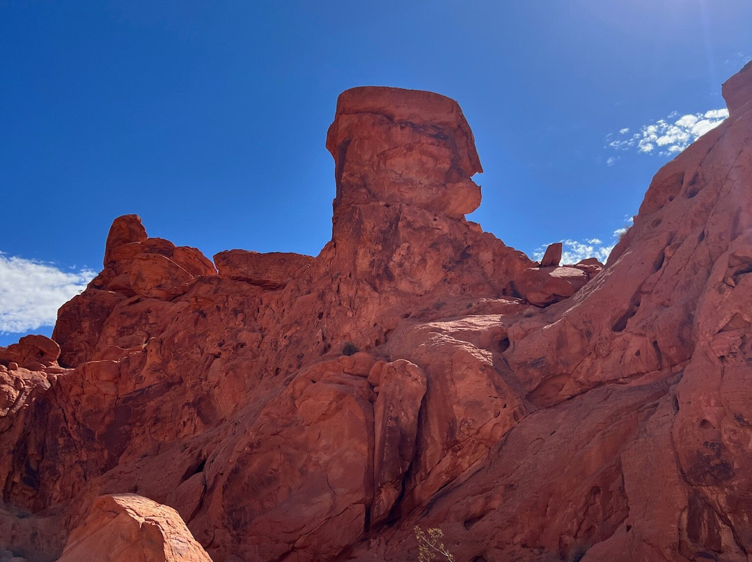 Adrenaline ATV Tours-拉斯维加斯必去景点