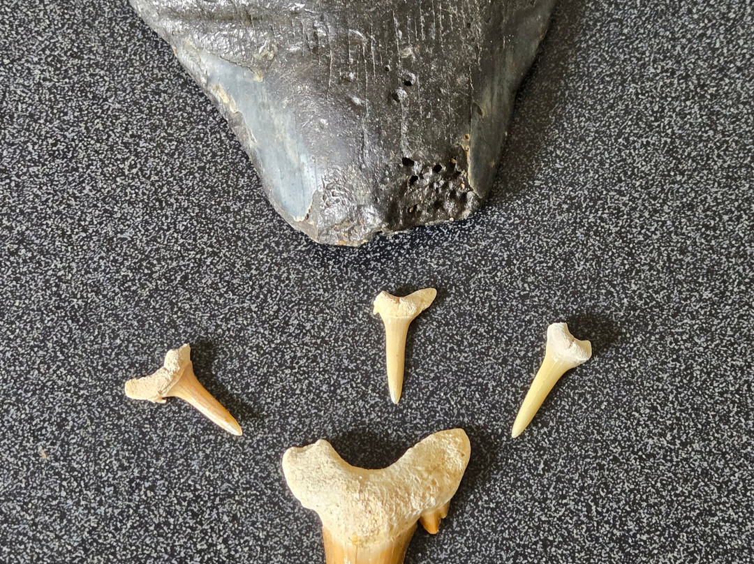 Broad River Gems & Mining Co.景点图片