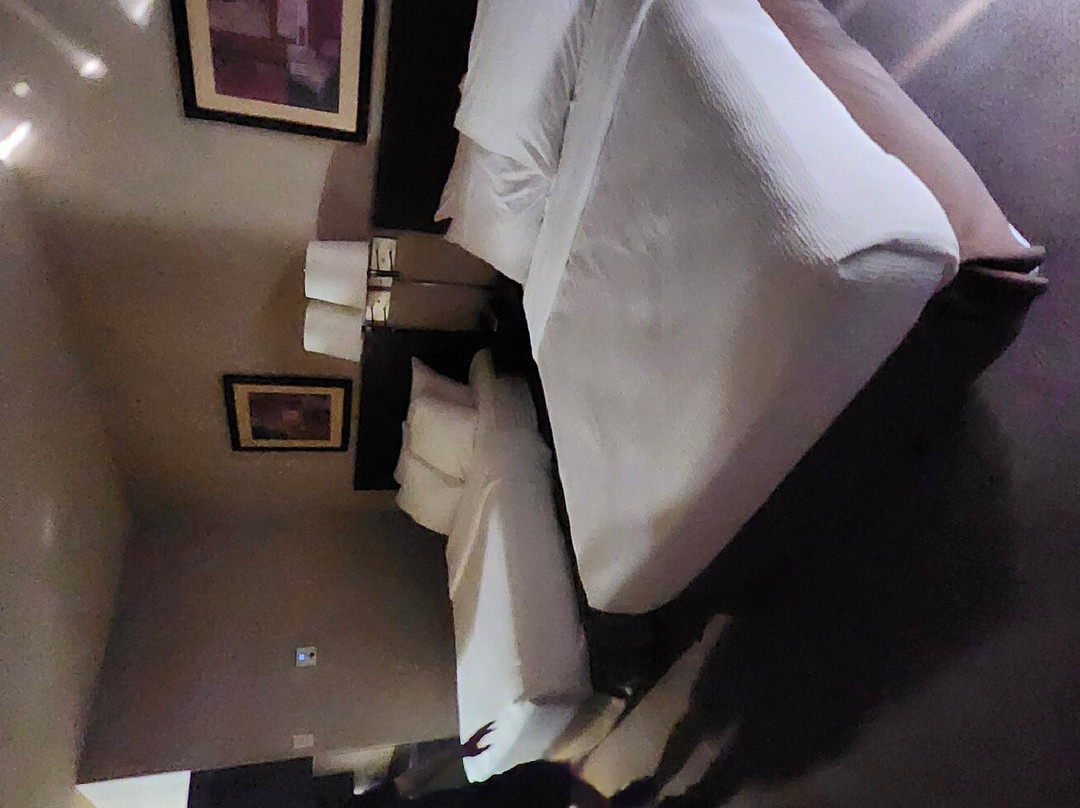 Ramada by Wyndham Drumheller Hotel & Suites主图