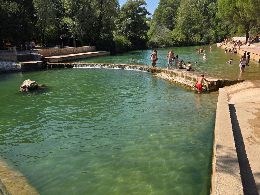 Piscine Naturelle Salernes景点图片