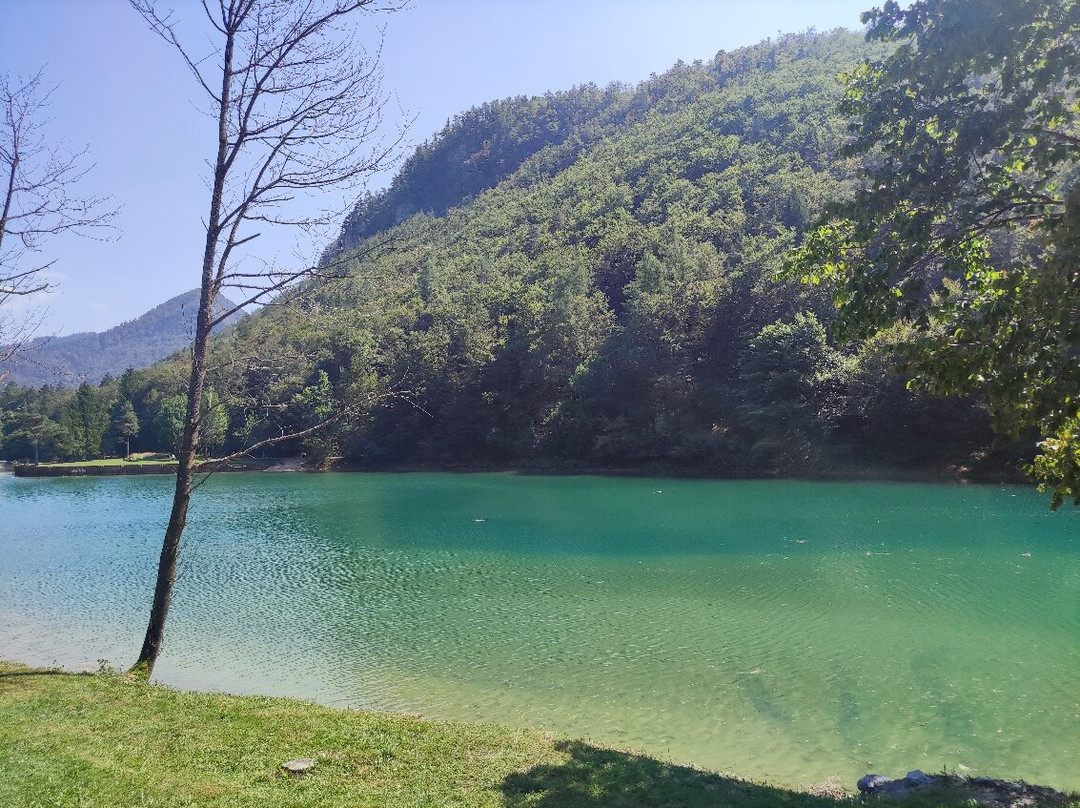 Zima Horse Riding Ranch Bled景点图片