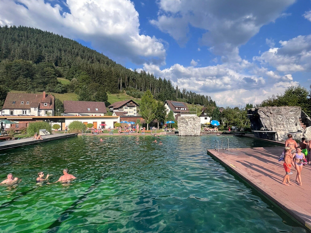 Naturbad Mitteltal e.V.景点图片