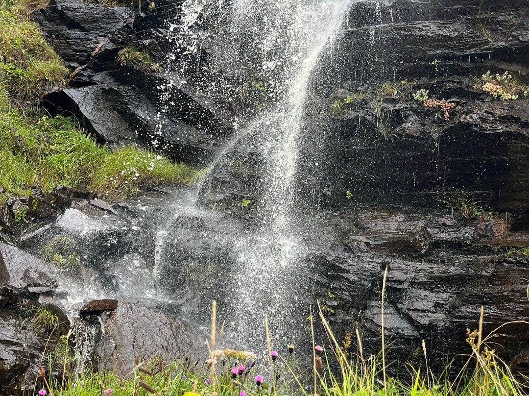 Glenegedale Guest House Islay主图