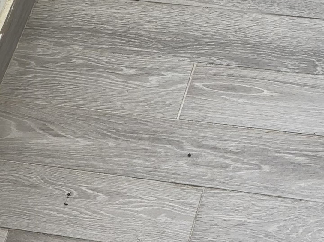 Hotel Riu Vistamar主图