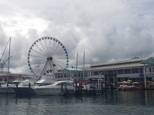 Tropical Sailing-劳德代尔堡必去景点