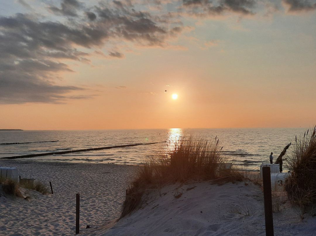 StrandResort Markgrafenheide主图