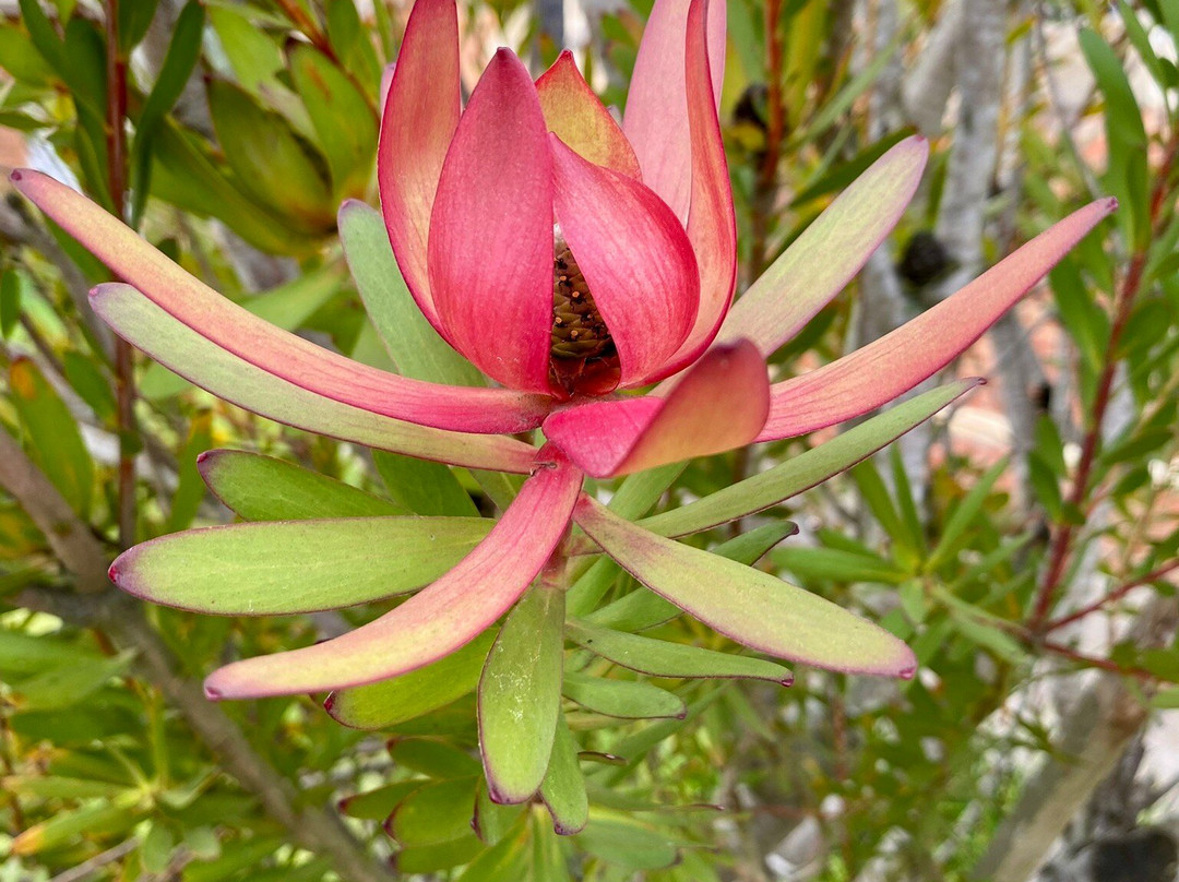 Saint Andrew's Uniting Church-Stratford必去景点