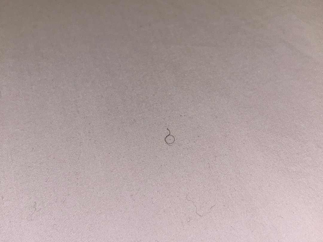 Holiday Inn & Suites Lima By IHG主图